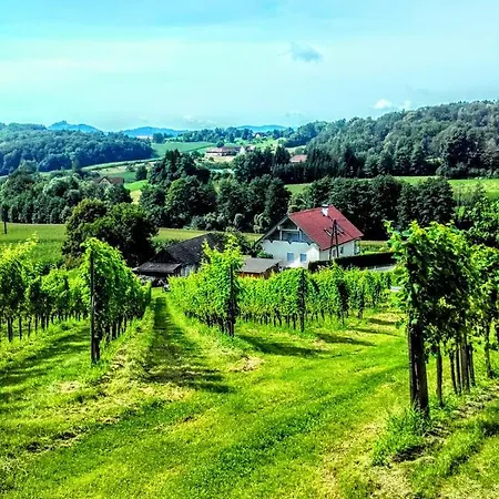 Dahoam By Fam. Franz 게믈리츠