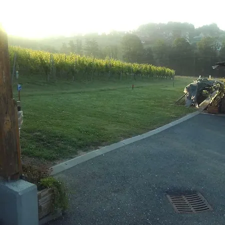 Dahoam By Fam. Franz Apartment