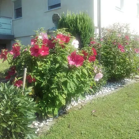 Dahoam By Fam. Franz