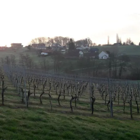 Dahoam By Fam. Franz Apartment *