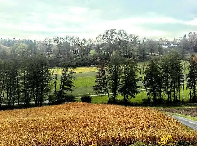 Dahoam By Fam. Franz Apartment