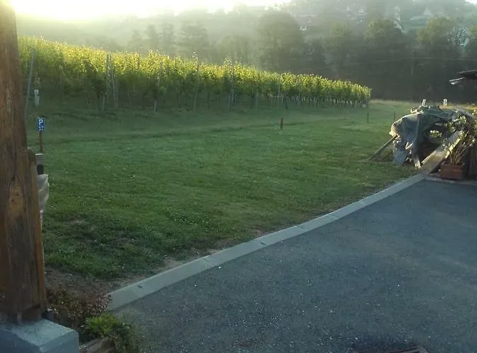 Dahoam By Fam. Franz Appartement