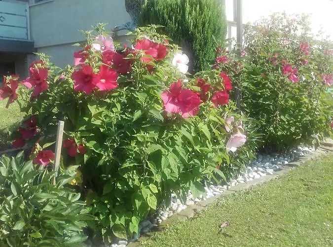 Dahoam By Fam. Franz