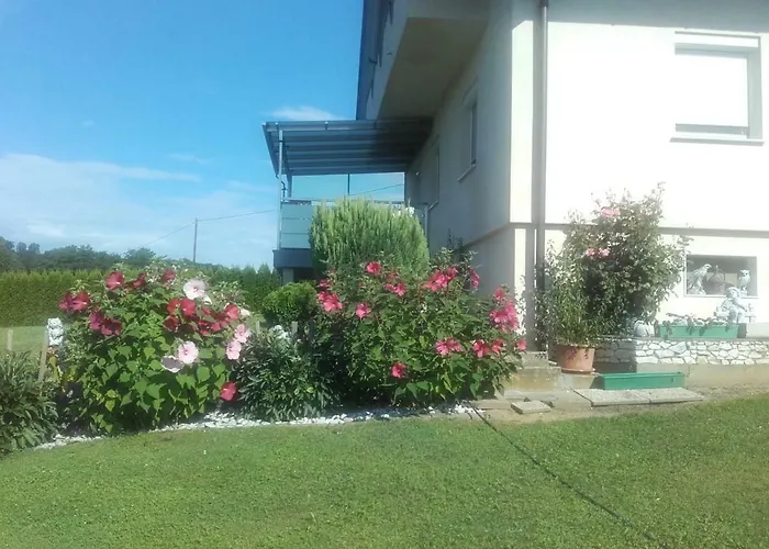 Dahoam By Fam. Franz Apartment Gamlitz