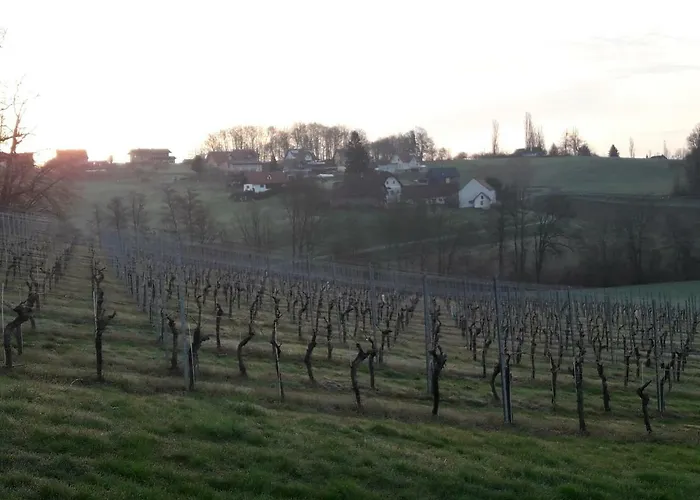 Dahoam By Fam. Franz Apartment *