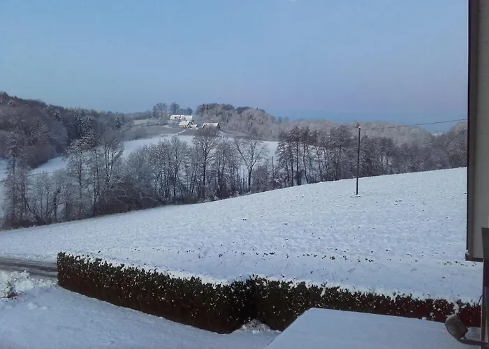 Dahoam By Fam. Franz Apartment Gamlitz